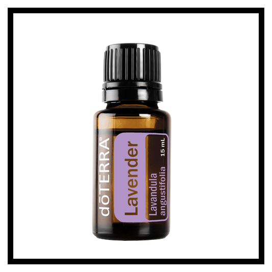 Lavender Essential Oil